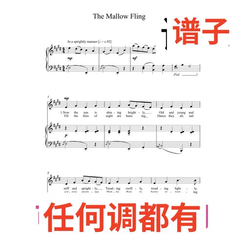 The Mallow Fling 2E伴奏谱正谱声乐