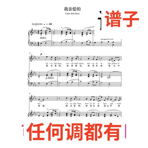 bE3 Caro mio ben 乔尔达尼伴奏谱正谱声乐