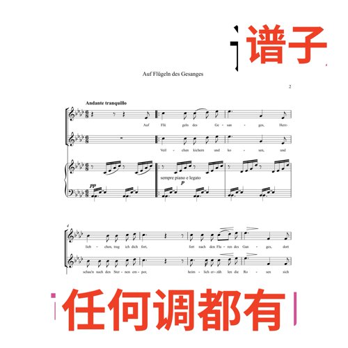 02原文 Auf Flügeln des Gesanges 5bA伴奏谱正谱声乐