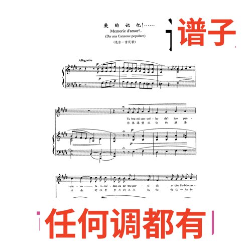 5E 爱的记忆 memorie damor伴奏谱正谱声乐