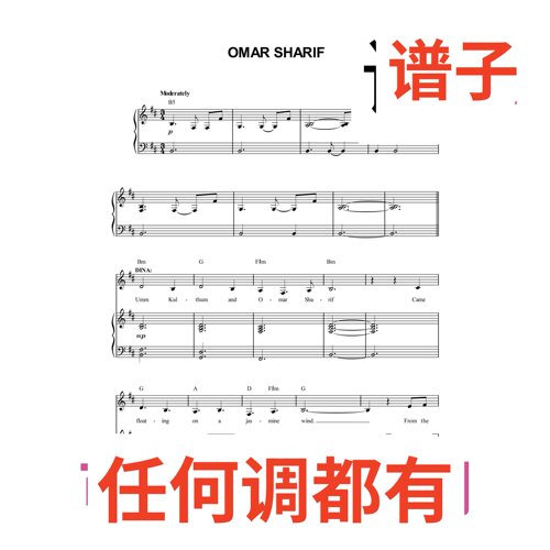 乐队造访 Omar Sharif 9D伴奏谱正谱声乐