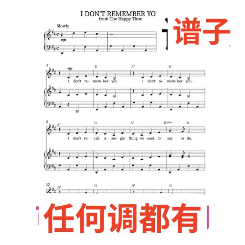 正谱D I DON'T REMEMBER YOU  4D伴奏谱正谱声乐