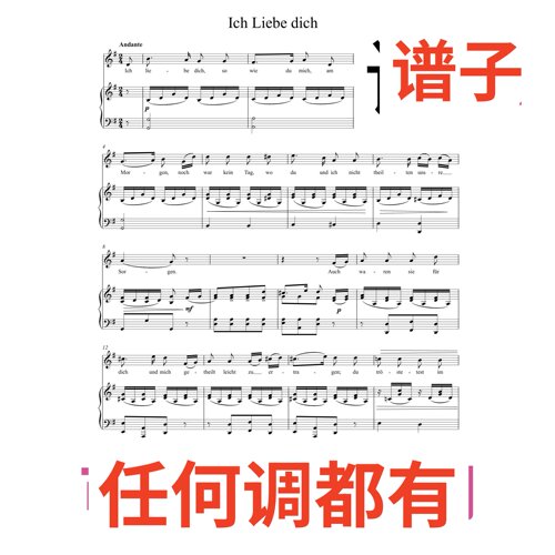 Ich Liebe dich 2页_G伴奏谱正谱声乐