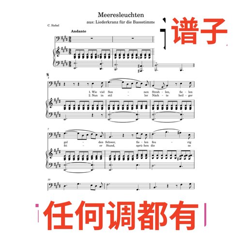 Meeresleuchten_-_Carl_Loewe 2E伴奏谱正谱声乐