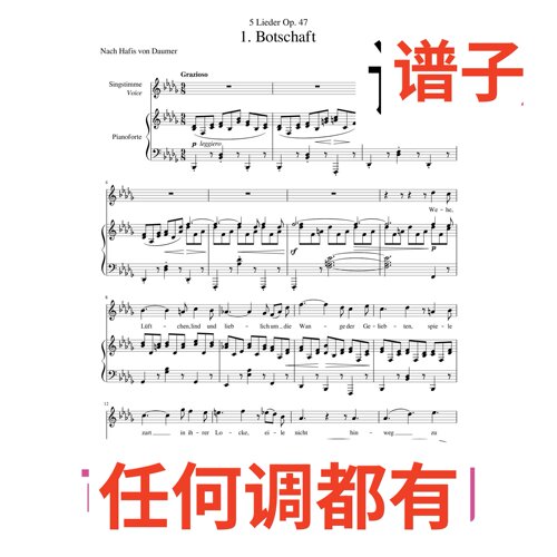 Brahms Botschaft 4bD伴奏谱正谱声乐