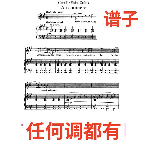 05 au cimitiere 圣桑 4A伴奏谱正谱声乐