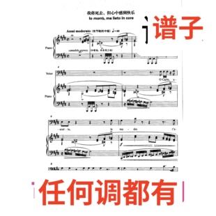 7E lo morrò ma lieto in core伴奏谱正谱声乐