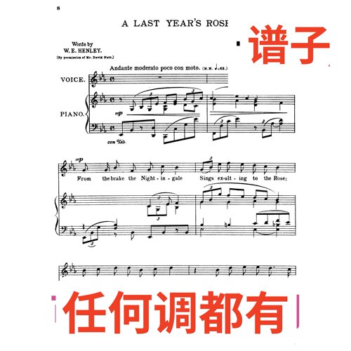 原件bE A Last Year’s Rose 4页伴奏谱正谱声乐