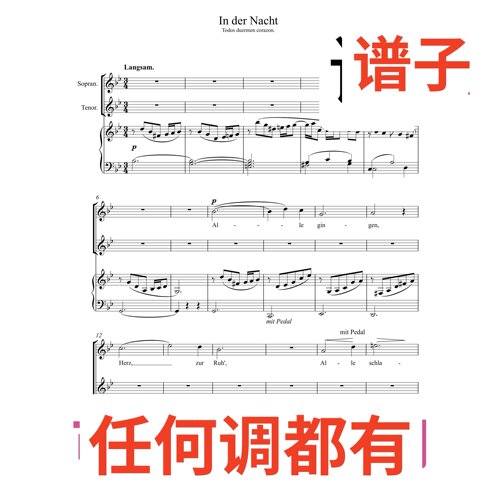 In der Nacht 舒曼74-4 二声部7页bB伴奏谱正谱声乐