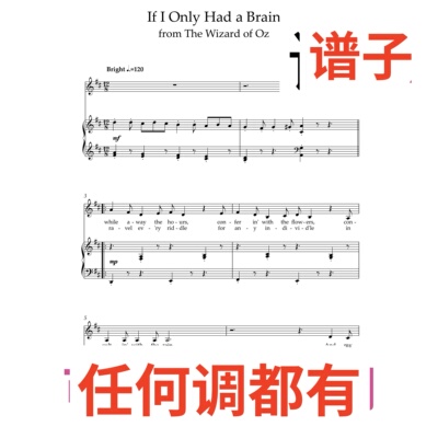 If I only had a brain 4页D伴奏谱正谱声乐
