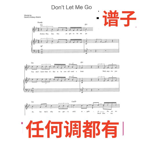 dont let me go 8bB伴奏谱正谱声乐