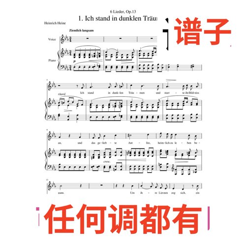 2bE Ich_stand_in_dunklen_Trumen伴奏谱正谱声乐