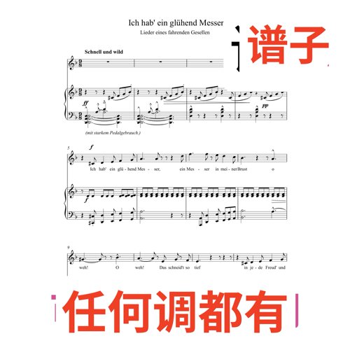 Ich hab’ein gluhend Messer F7伴奏谱正谱声乐