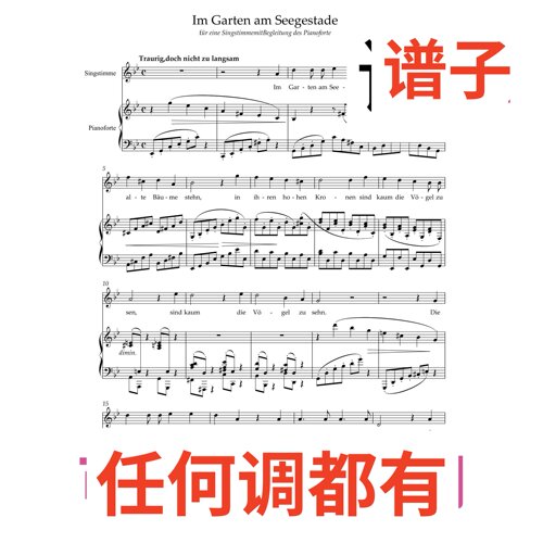 Im Garten am Seegestade 2bB伴奏谱正谱声乐