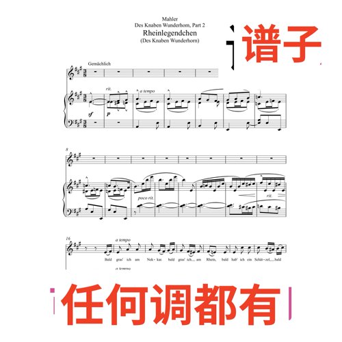 原件A5 Rheinlegendchen Des Knaben Wunderhorn伴奏谱正谱声乐