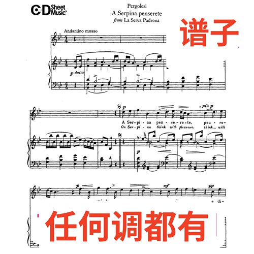 a serpina penserete 6bB伴奏谱正谱声乐