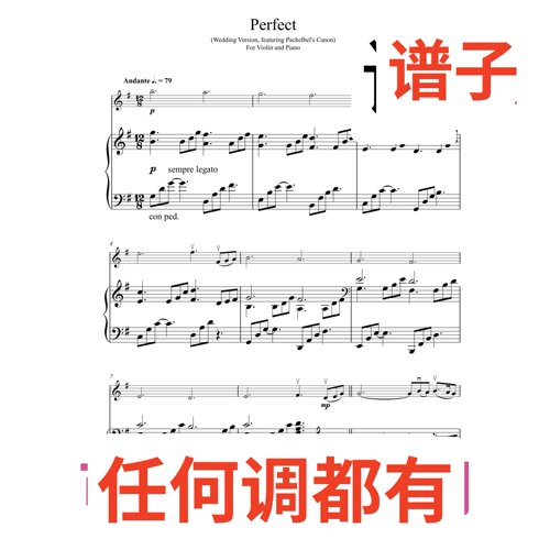 8G Perfect Sheeran Johann Pachelbel伴奏谱正谱声乐