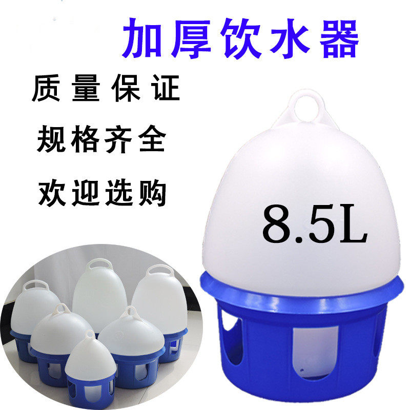 信鸽用品用具鸽子饮水壶赛鸽饮水器肉鸽用水壶鸽子水槽饮水器鸽具