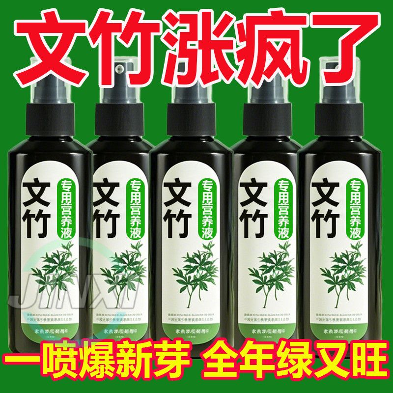 【四季常绿】文竹专用肥营养液治叶子发黄枯瘦干尖烂根落叶促生长