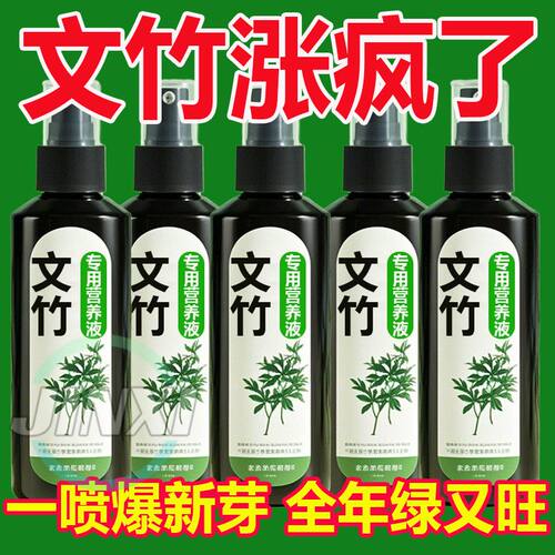 【四季常绿】文竹专用肥营养液治叶子发黄枯瘦干尖烂根落叶促生长