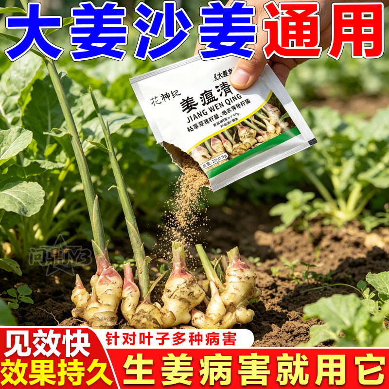 姜瘟净姜瘟专用姜瘟灵生姜杀菌剂大姜烂脖子病姜瘟颈基腐干尖黄叶