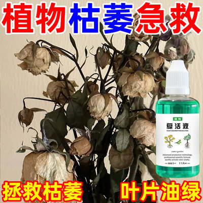 植物花卉绿植复活液专门解决植物光杆半死不活营养液园艺通用型