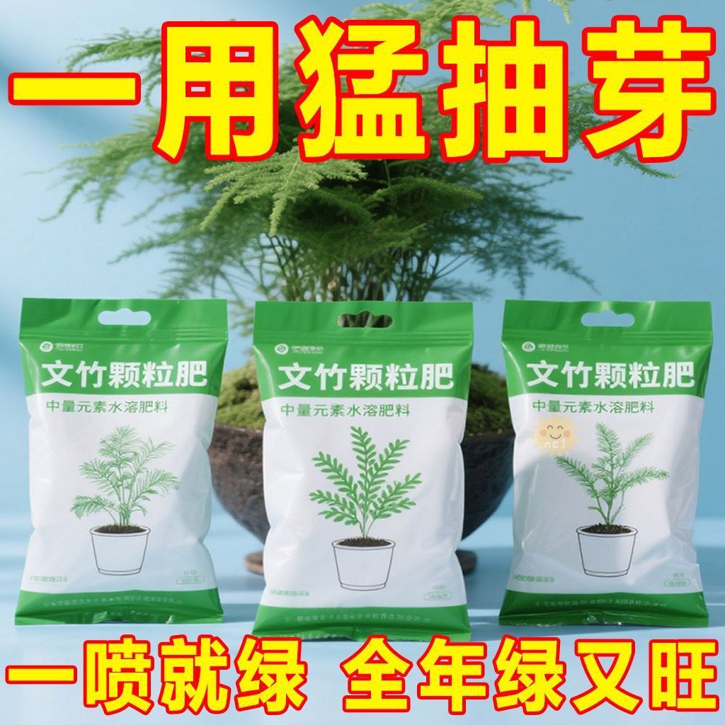 文竹专用肥料盆栽植物肥有机复合肥文竹云竹富贵竹棕竹专用花肥料