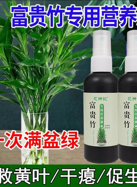 【四季翠绿】富贵竹专用营养液叶子发黄促生根液植物水培营养液