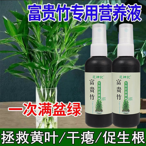 【四季翠绿】富贵竹专用营养液叶子发黄促生根液植物水培营养液