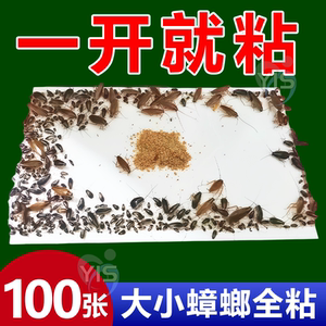 蟑螂粘板蟑螂屋小强恢恢蟑螂药非捕捉贴强力粘小屋端家用厨房
