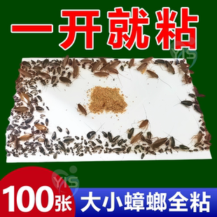 蟑螂粘板蟑螂屋小强恢恢蟑螂药非捕捉贴强力粘小屋端家用厨房