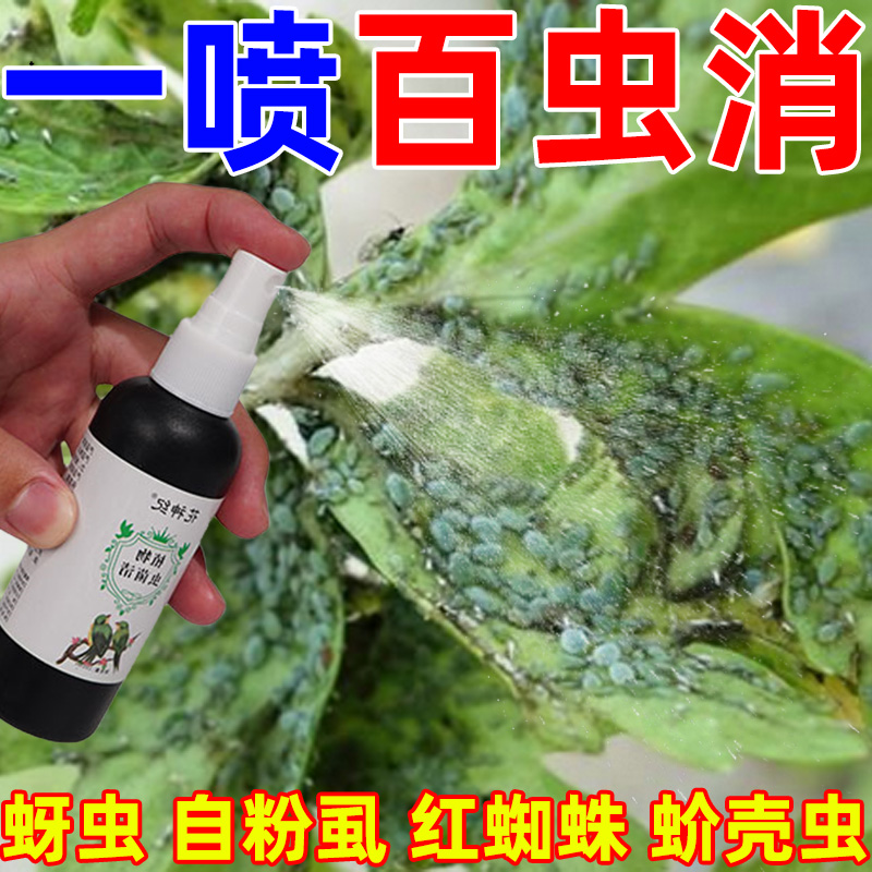 百虫清盆栽小菜园家用杀虫除虫剂红蜘蛛介壳虫蓟马蚜虫月季蔬菜甜