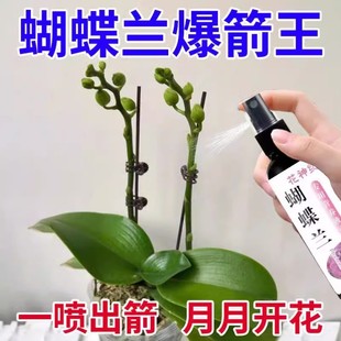 蝴蝶兰专用营养液促花剑开花肥兰花盆栽免稀释专用肥料 爆箭王