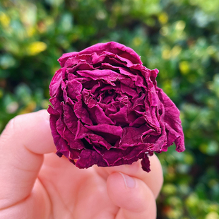 她她和猫猫云南墨红玫瑰花茶食用重瓣玫瑰冻干锁鲜花香馥郁45g 罐