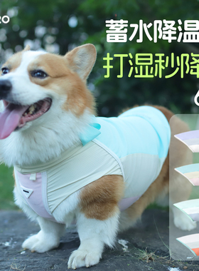 BORORO狗狗柯基夏季凉凉背心薄款降温防虫防晒宠物衣服夏天凉凉衣