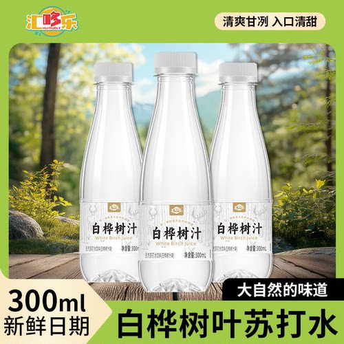 汇哆乐新品白桦树汁苏打天然水饮料300ML*24瓶一整箱清爽解渴饮料