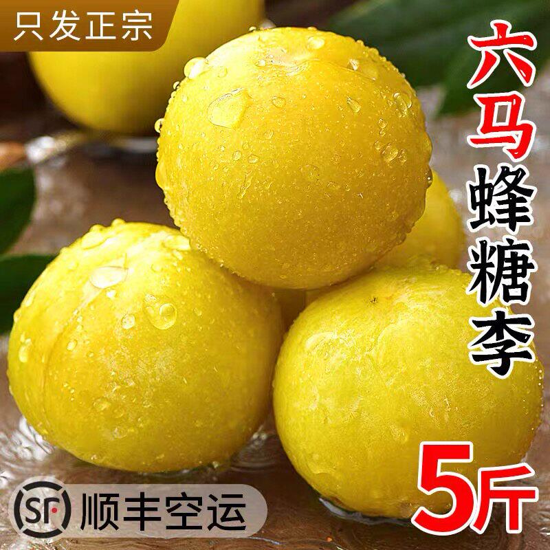 贵州六马蜂糖李新鲜水果5斤装黄金李子当季现摘顺丰空运