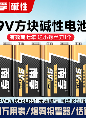 南孚9V碱性电池万用表麦克风儿童玩具遥控6LR61 方块叠层九伏6F22