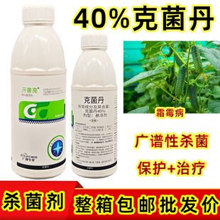 开普亮克菌丹 40%杀菌剂黄瓜霜霉病专用药正品农药广谱性杀菌批发