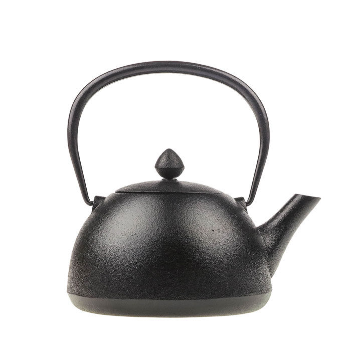 日本制南部铁器铁壶原产小铁茶壶原装进口南部池永铸铁急須茶道,餐饮具,茶壶,淘宝优惠券,粉丝福利购,淘宝优惠卷