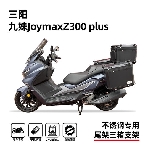 三阳九妹joymaxz300plus尾箱架