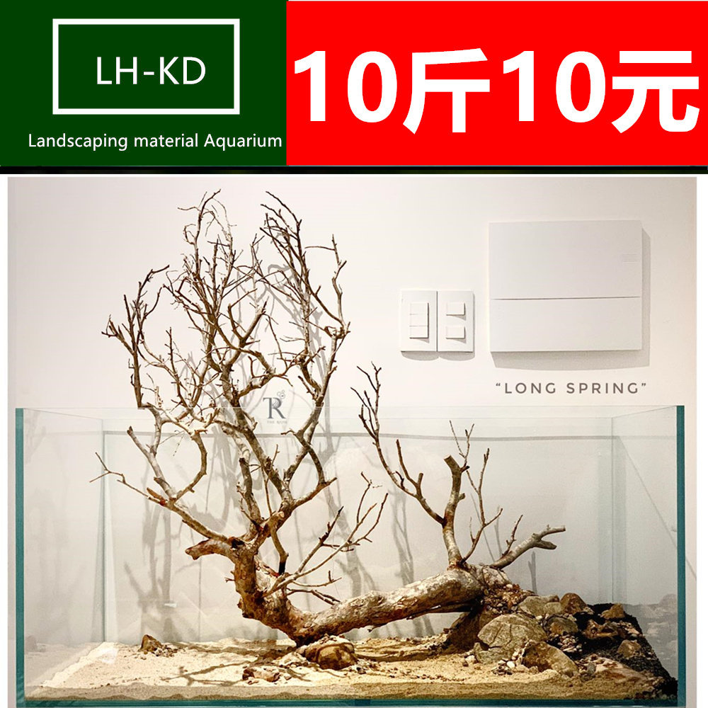 鱼缸造景装饰套餐杜鹃根沉木树桩紫柚木森林水景骨架南美原生缸