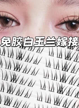 大容量轻泰式白玉兰免胶假睫毛嫁接分段单簇漫画淡颜系自然眼睫毛