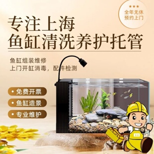 专业清洗鱼缸养护托管上门服务优质护理换水过滤清理开缸消毒造景