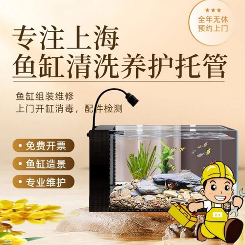 鱼缸清洗换水养护维修造景维护理
