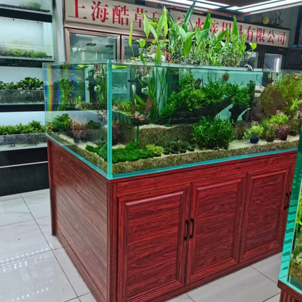 上门清洗鱼缸造景护理种草维护优质托管池换水养组装鱼缸更换配件