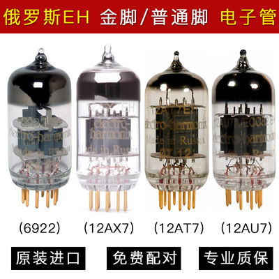 俄罗斯进口EH电子管金狮电子管