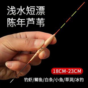芦苇浅水漂草洞短全套鱼漂醒目加粗高灵敏轻口钓鱼野钓漂短鱼漂