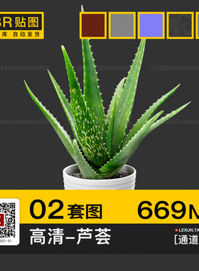 芦荟盆栽室内绿色植物高清纹理pbr法线通道3d材质su c4d贴图素材