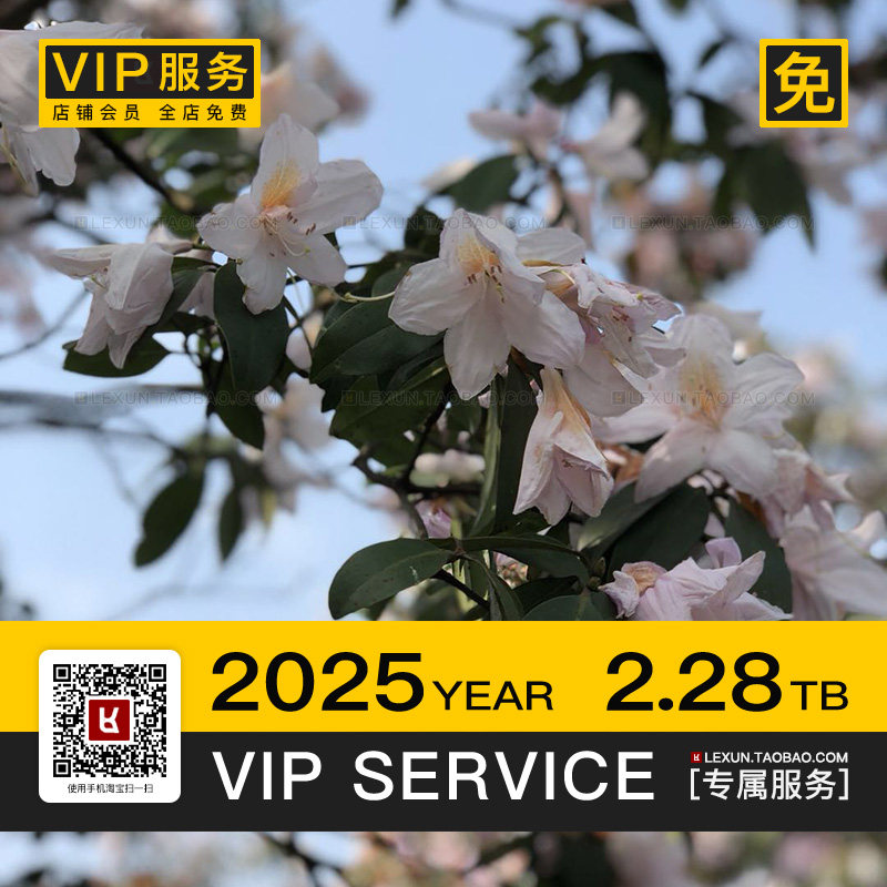 VIP | 店铺会员 | 任意下 | 4K8K高清电脑壁纸图片视频3D贴图素材